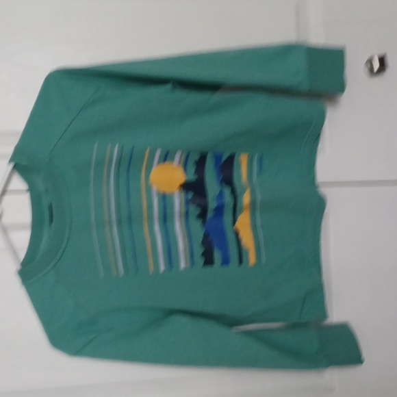 Patagonia Other - Unisex Patagonia Sweatshirt Green sz M